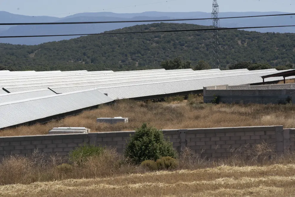 Granja de visones en la Puebla de Valverde, a la que la DGA ha ordenado sacrificar a mas de 90.000 ejemplare