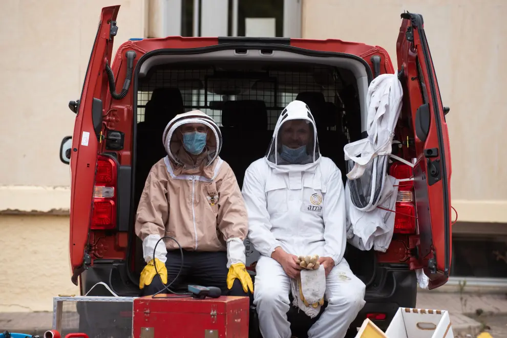 Bomberos equipados con caretas y trajes protectores contra las picaduras de abejas, en el parque de Valle de Broto.