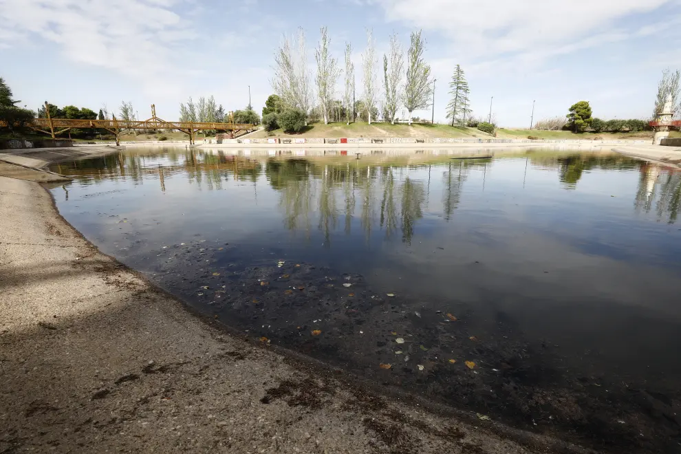 Aparecen cientos de peces muertos en un lago de Montecanal