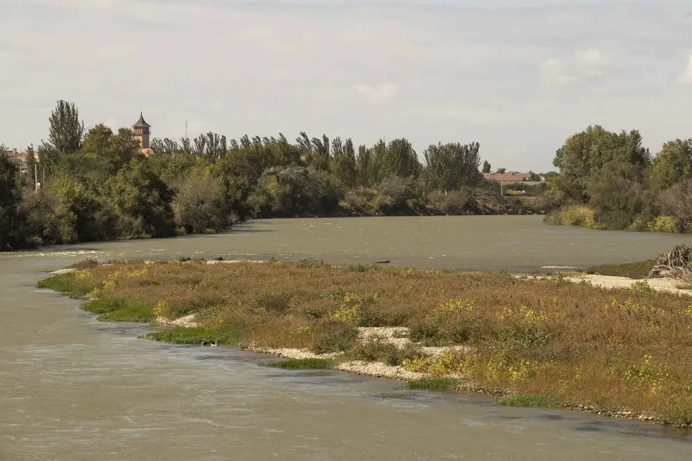 Vegetación e islas de grava en el cauce del río Ebro en Villafranca y El Burgo.