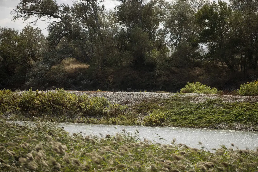 Vegetación e islas de grava en el cauce del río Ebro en Villafranca y El Burgo.