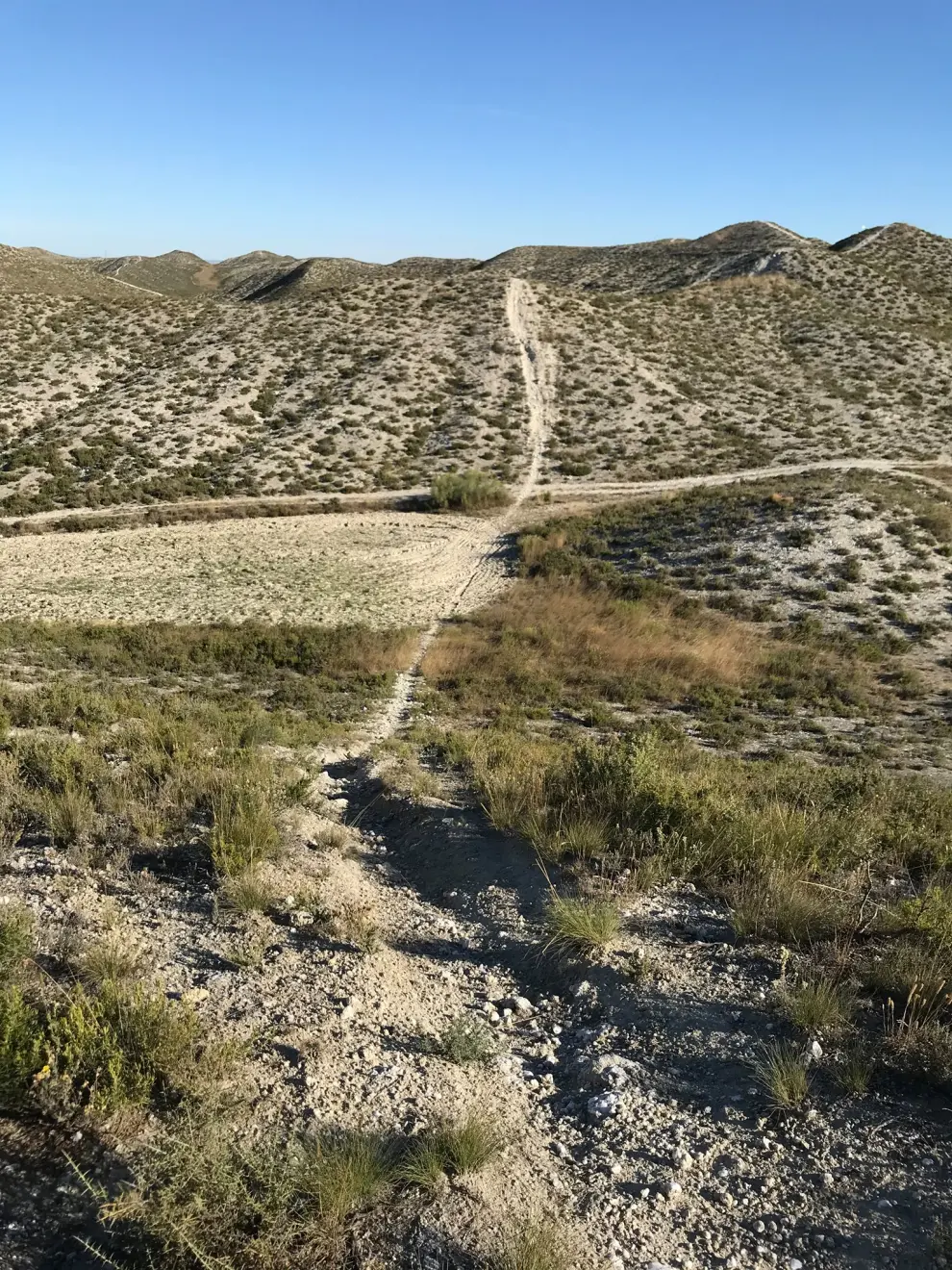Imágenes de las sendas abiertas por las motos en los montes de Alfajarín.