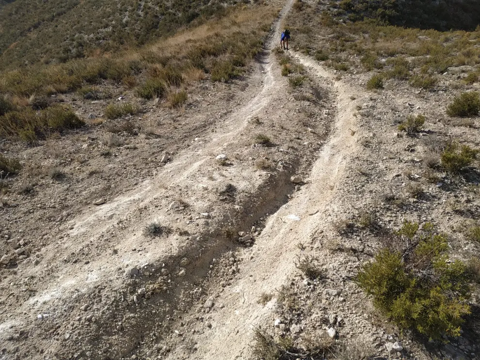 Imágenes de las sendas abiertas por las motos en los montes de Alfajarín.