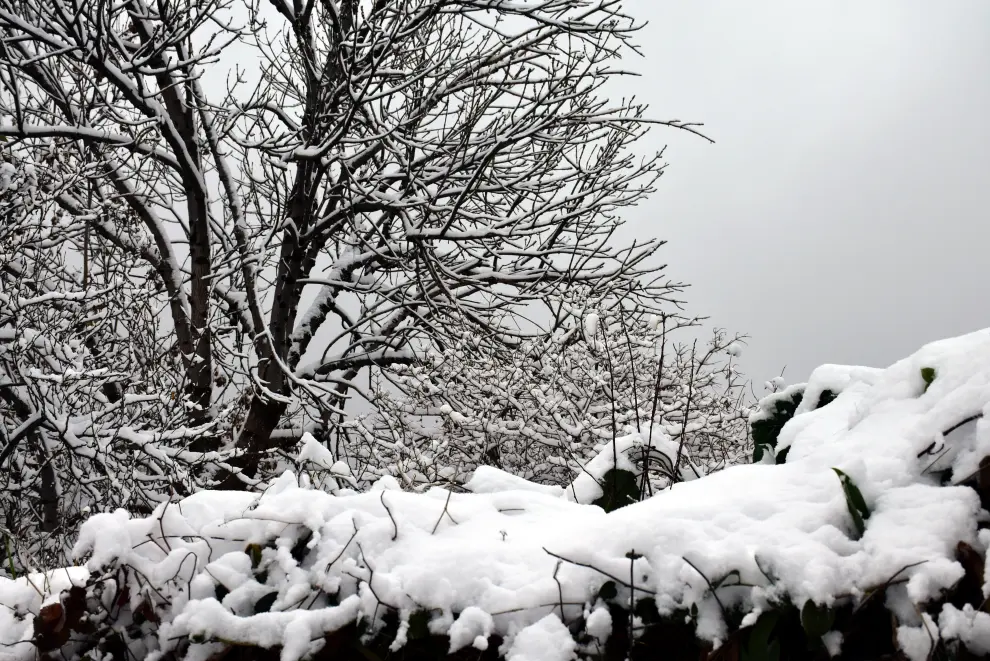 Primera gran nevada de la temporada en el valle de Gistaín.