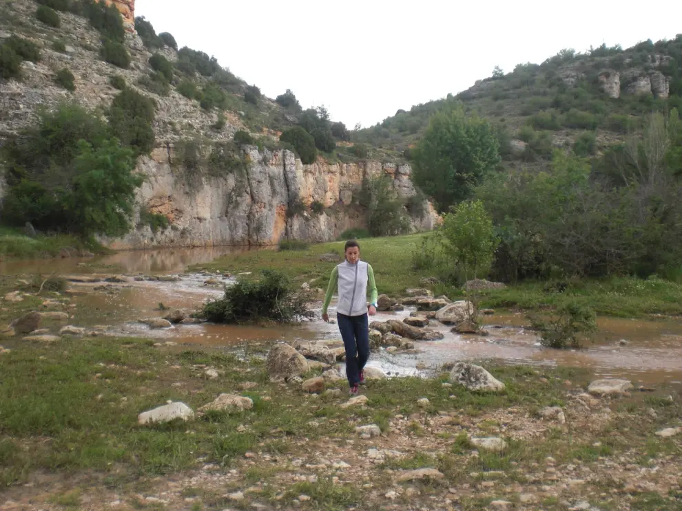 Las hoces del río piedra, entre Torralba de los Frailes y Aldehuela de Liestos