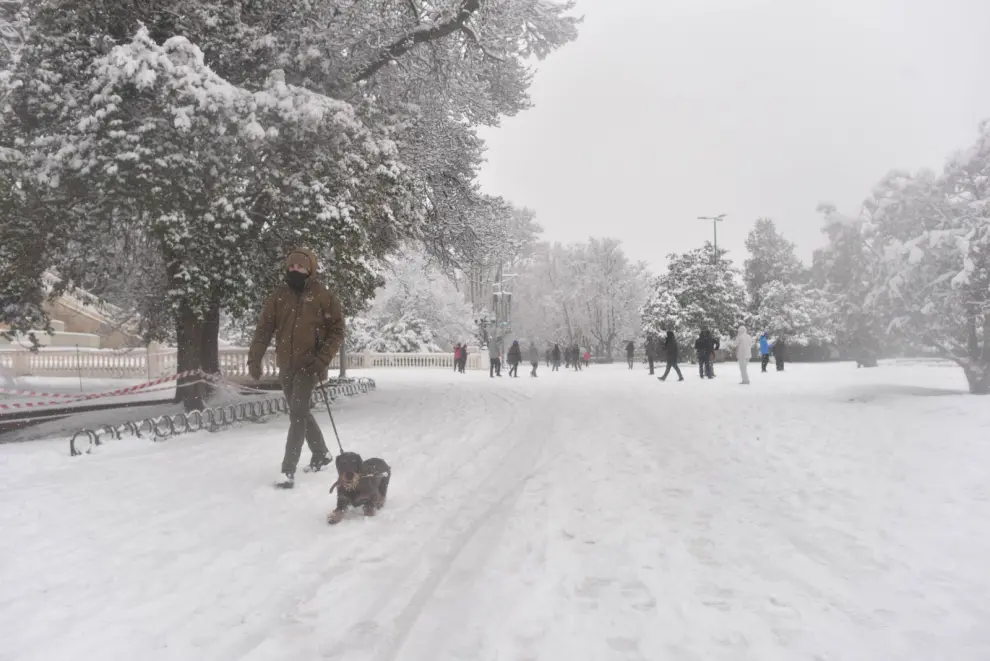 Filomena cubre de nieve el Parque Grande de Zaragoza.