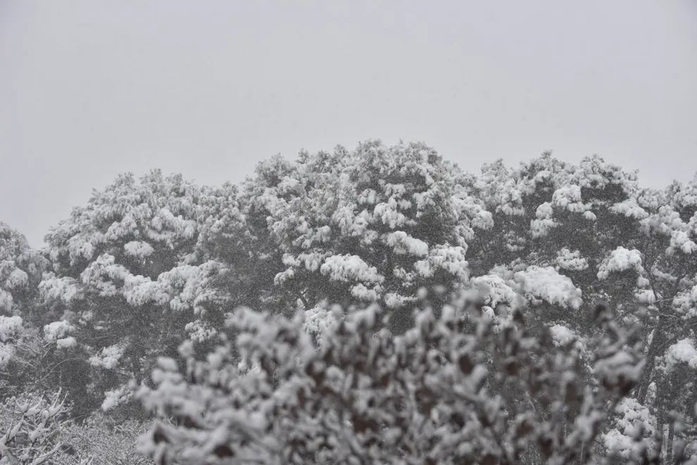 nevada Filomena en Zaragoza