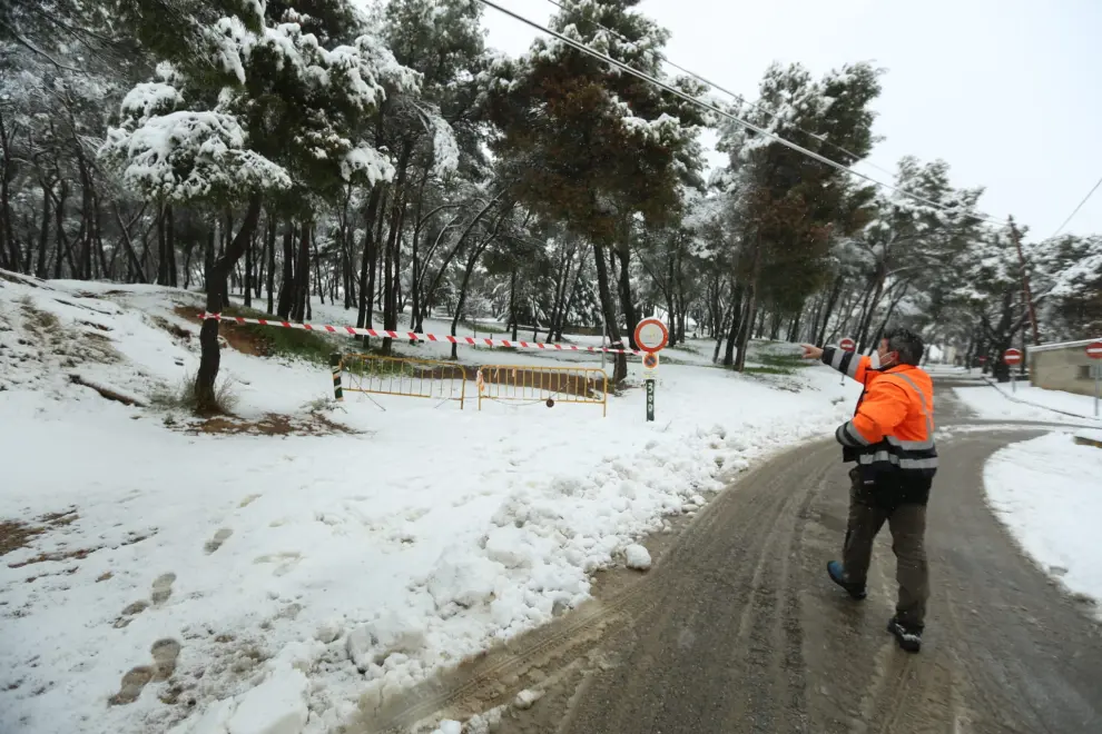 Zonas arboladas cerradas en Huesca.