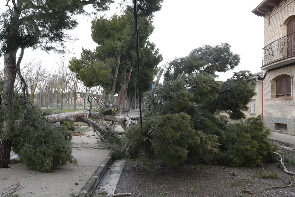 La tormenta Hortensia destroza el barrio de San Gregorio (Zaragoza)