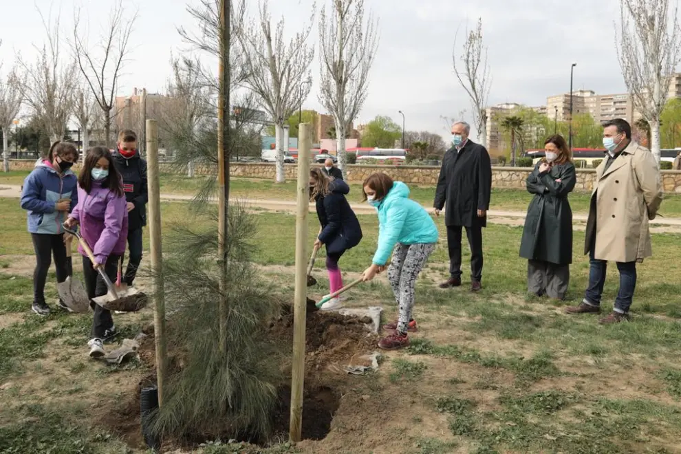 Plantación de árboles en Zaragoza