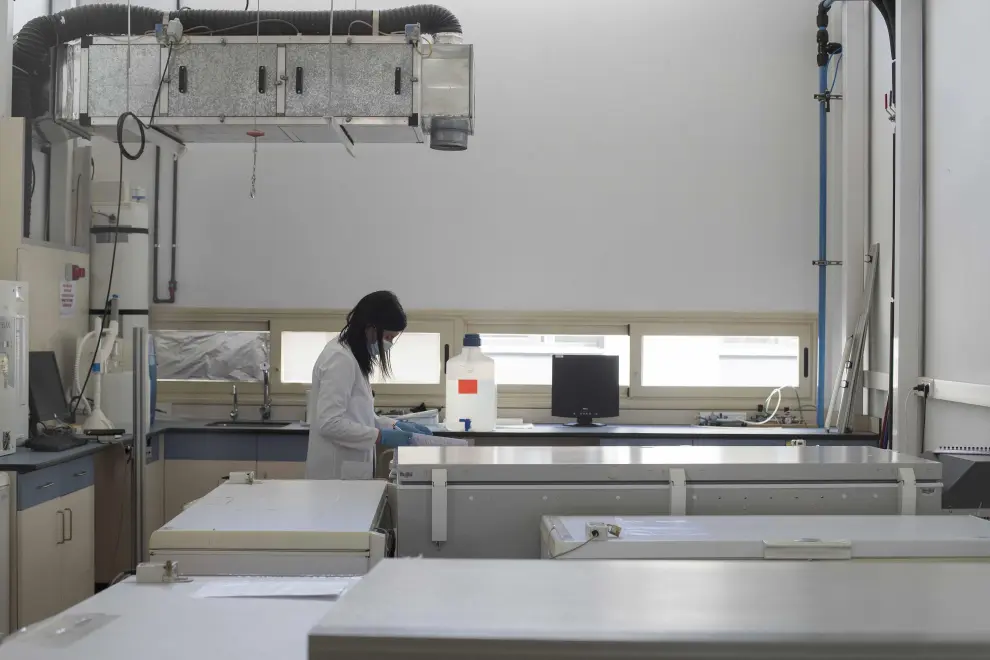 Operon, empresa de Zaragoza que fabrica test rápidos y PCR en Cuarte de Huerva.