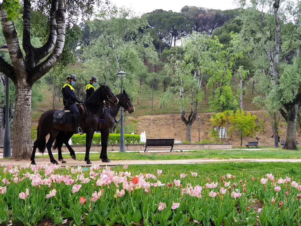 La Unidad de Caballería de la Policía de Zaragoza por el Parque Grande José Antonio Labordeta.