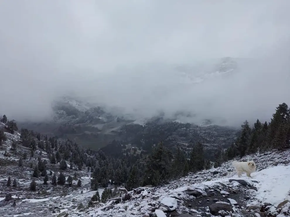 El Pirineo ha amanecido con una capa de nieve de 11 centímetros en La Renclusa, Bachimaña y Llanos del Hospital.