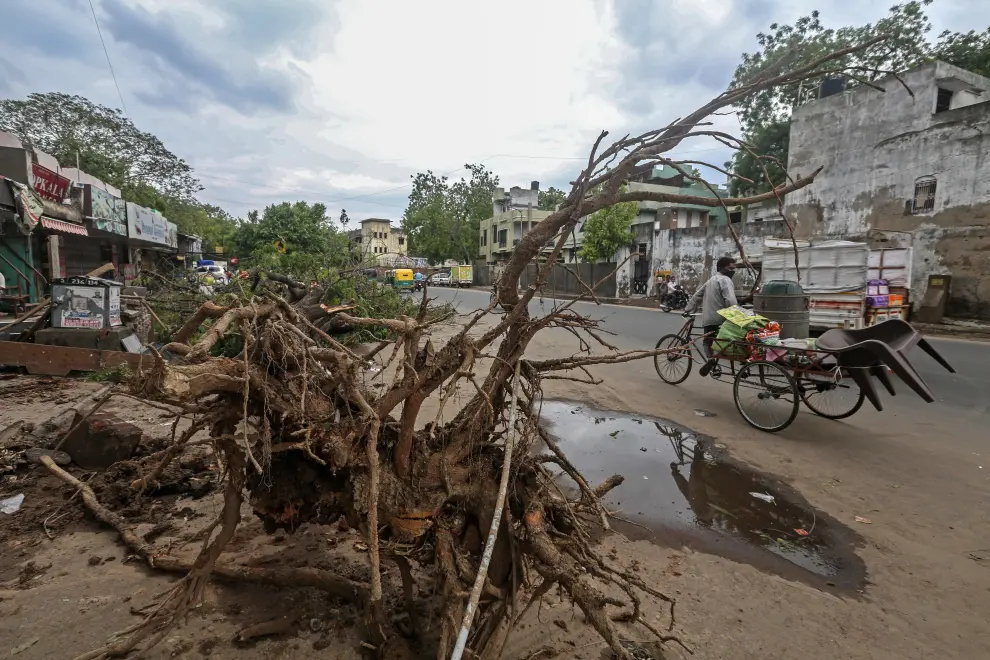 Ahmedabad (India), 19/05/2021.- Indian motorists ride past uprooted tree after cyclone Tauktae hit in Ahmedabad, Gujarat, India, 19 May 2021. A powerful cyclone that hit the western coast of India has killed at least 17 people, officials said on 18 May. The intensity of the cyclone Tauktae weakened hours after it made landfall, bringing heavy rains and gusty winds in the western state of Gujarat and its adjoining regions. EFE/EPA/DIVYAKANT SOLANKI Cyclone Tauktae hits Ahmedabad