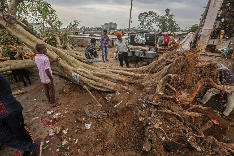 Ahmedabad (India), 19/05/2021.- An Indian man sells flowers near the uprooted tree after cyclone Tauktae hit in Ahmedabad, Gujarat, India, 19 May 2021. A powerful cyclone that hit the western coast of India has killed at least 17 people, officials said on 18 May. The intensity of the cyclone Tauktae weakened hours after it made landfall, bringing heavy rains and gusty winds in the western state of Gujarat and its adjoining regions. EFE/EPA/DIVYAKANT SOLANKI Cyclone Tauktae hits Ahmedabad