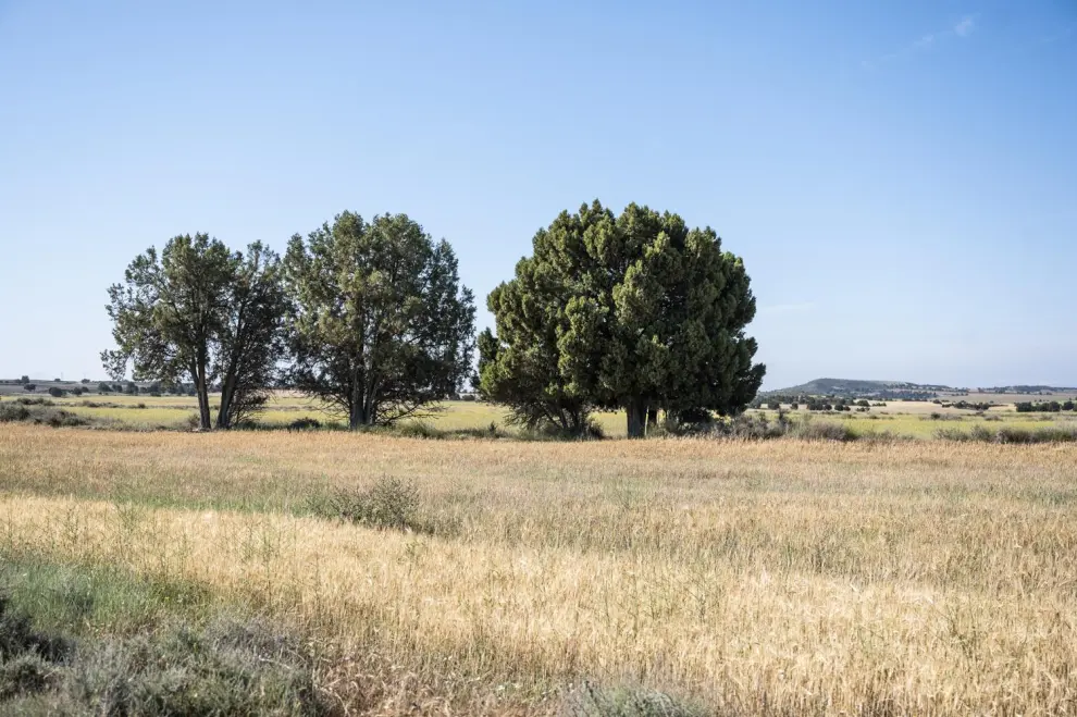 El parque nacional abarcaría 29.000 hectáreas de las comarcas de Monegros, Ribera Baja del Ebro y Comarca Central.