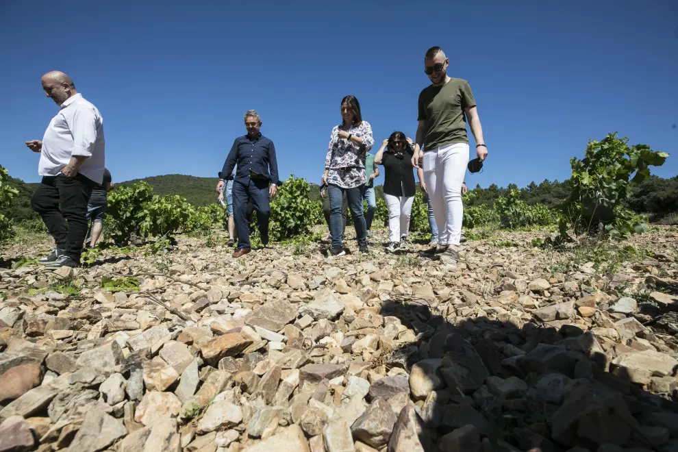 Los chef que defienden las estrellas Michelin de Aragón se reunieron por primera vez en torno a la bodega de Grandes Vinos y Viñedos, donde hablaron de gastronomía y de vinos, claro está.