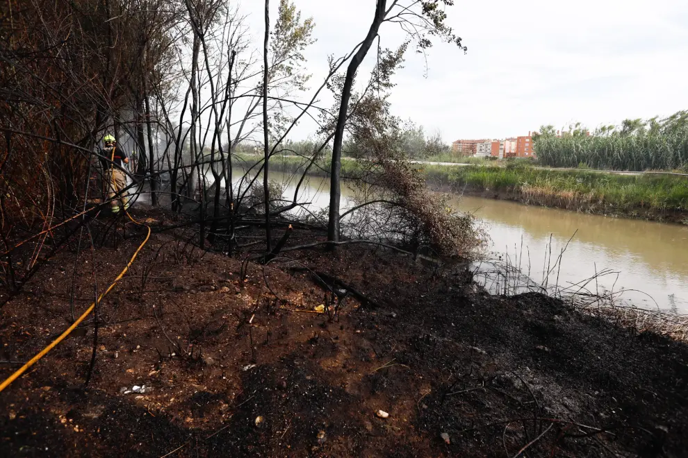 Arde una zona de matorral junto al Canal Imperial, a la altura del campin de Zaragoza.