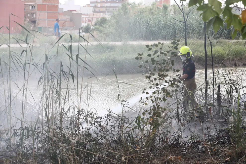 Arde una zona de matorral junto al Canal Imperial, a la altura del campin de Zaragoza.