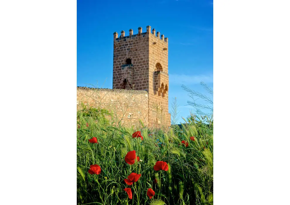 La Torre del Homenaje es la imagen del Monasterio de Piedra.