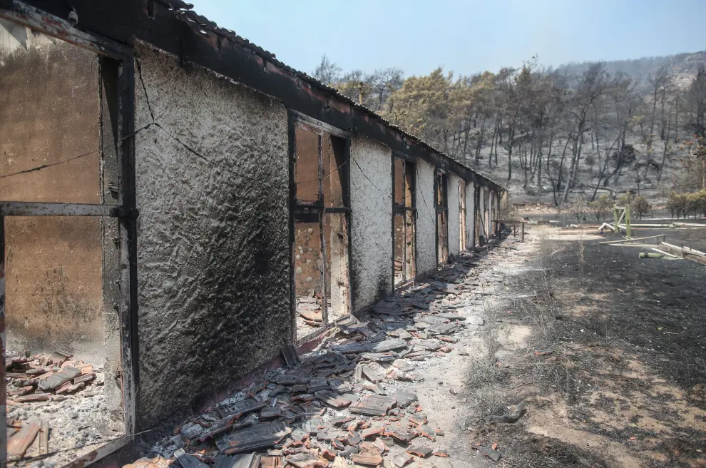 Los incendios en Turquía han destruido grandes extensiones agrícolas, viviendas y granjas.