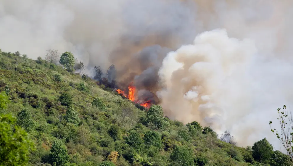 El incendio forestal de Ezcaray (La Rioja) tiene dos puntos de inicio