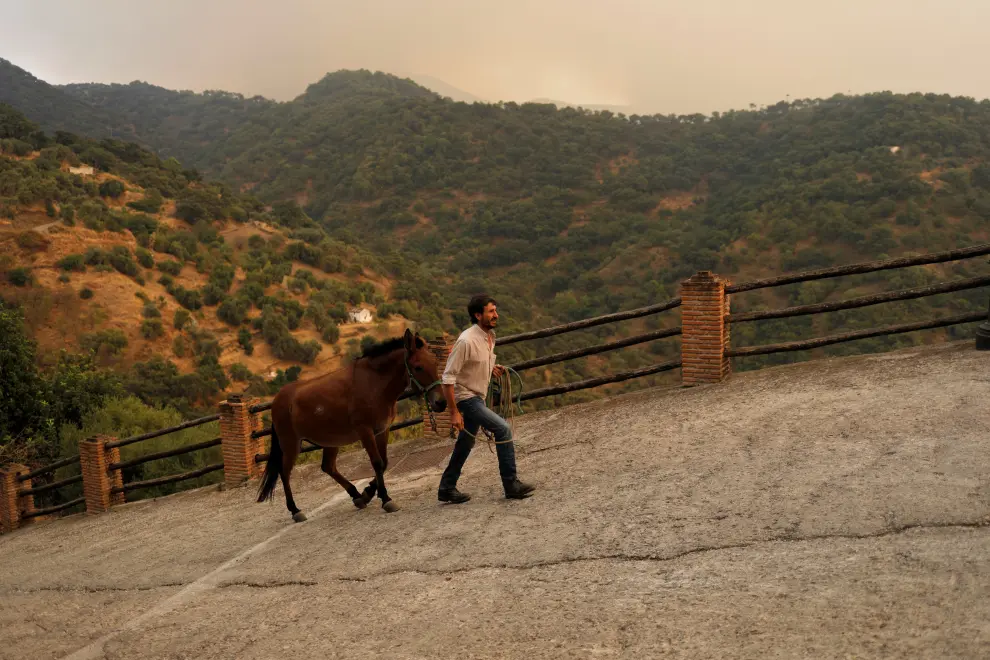 A man leads his horse from a field to a stable following an alert recommendation for residents to stay in their houses due to the smoke cloud from a wildfire on Sierra Bermeja mountain, in Genalguacil, near Estepona, Spain, September 11, 2021. REUTERS/Jon Nazca[[[REUTERS VOCENTO]]] CLIMATE-WILDFIRES/SPAIN