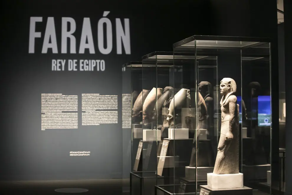 La muestra podrá visitarse en el Caixaforum zaragozano hasta el 9 de enero de 2022.