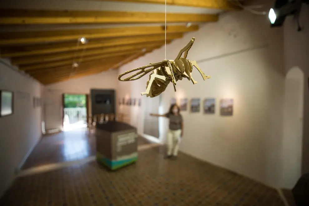 Museo del Molino Bajo