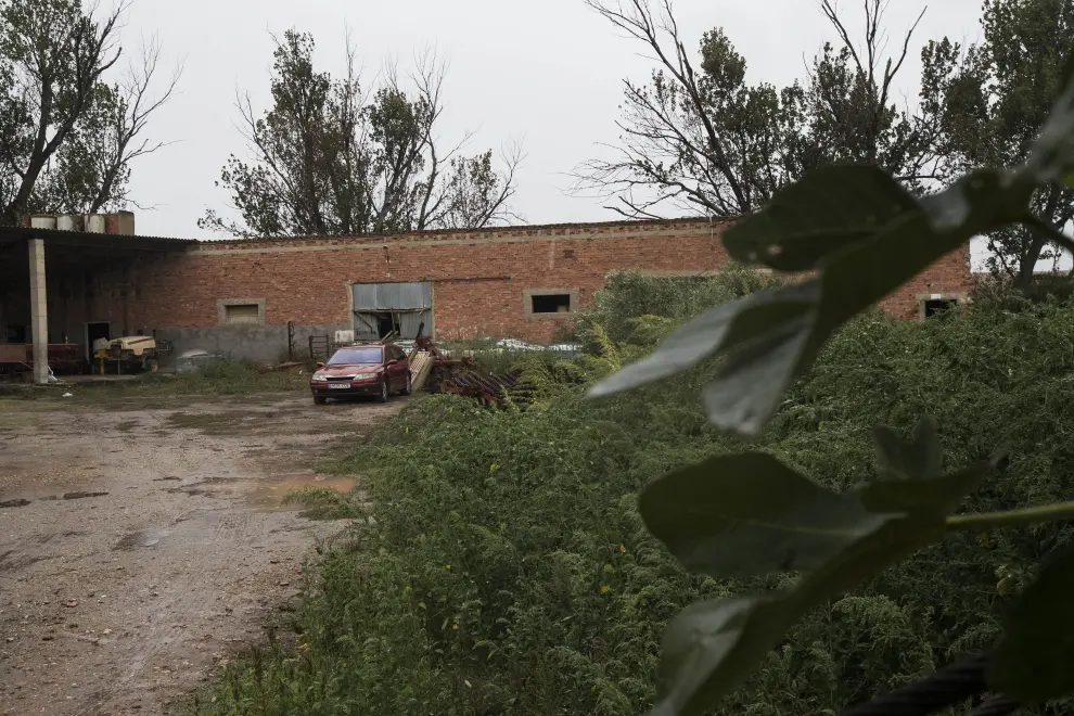 La Guardia Civil investiga el crimen de un vigilante en una plantación de cáñamo en Pleitas