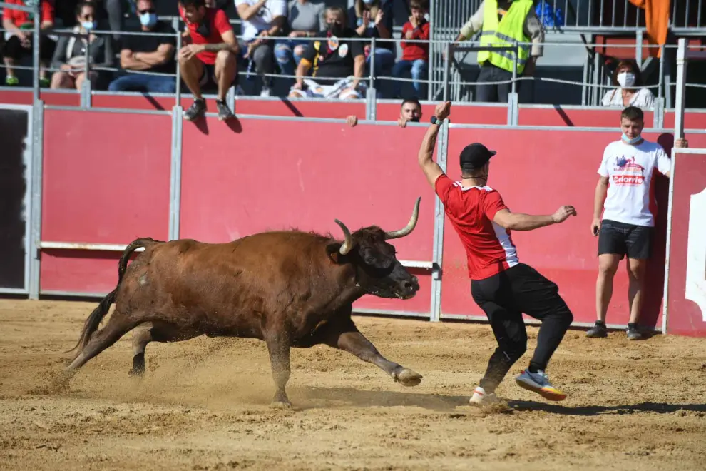 Segundo día de vaquillas del Pilar 2021 en las plaza de toros de Casetas