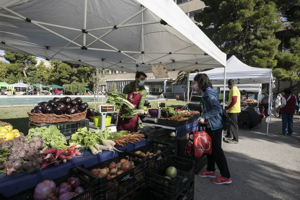 Mercado agroecológico semanal de la Plaza de San Francisco