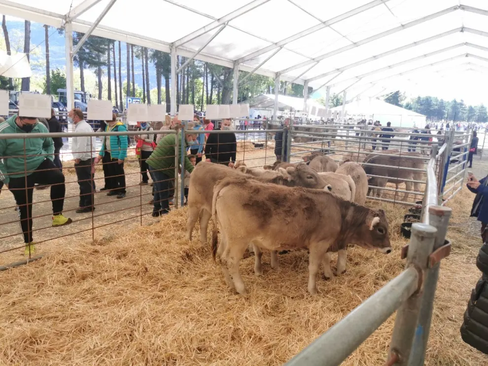 Los productos artesanales y el ganado son los protagonistas de la Feria de Otoño de Biescas.