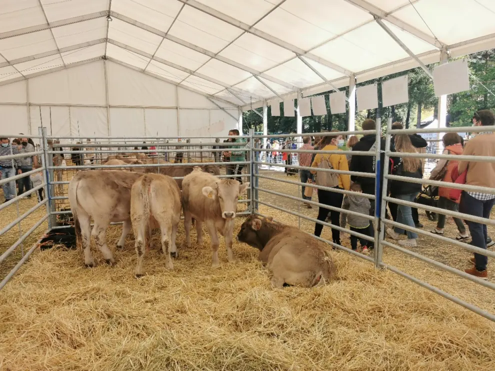Los productos artesanales y el ganado son los protagonistas de la Feria de Otoño de Biescas.