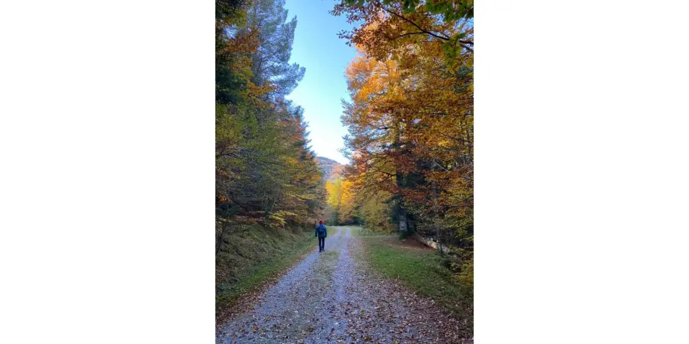 “Pocos sitios tan hermosos como el Pirineo aragonés en otoño. Selva de Oza”, afirma María Pilar.