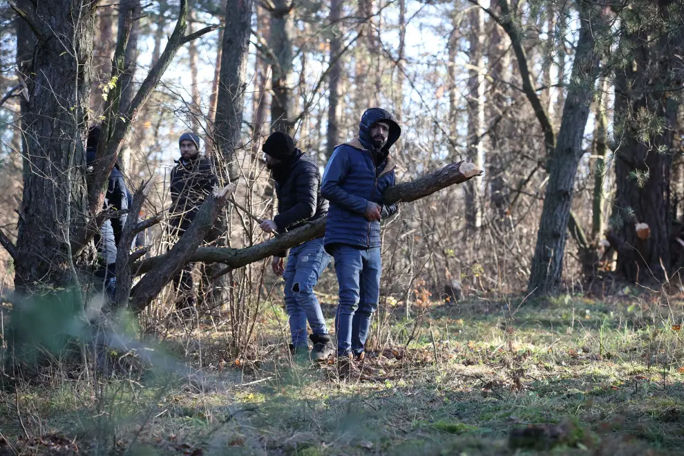 Grodno Region (Belarus), 09/11/2021.- A handout picture made available by Belta news agency shows a migrant carrying wood for their camp near the Belarus-Polish border in the Grodno region, Belarus, 09 November 2021. According to the State Border Committee of Belarus (GPK), there are more than two thousand people near the border, including women and children, who want to obtain asylum in the European Union, 'and they do not consider the territory of the Republic of Belarus as a place of stay.' The territory is guarded by several thousand employees of the Polish special services. The migration crisis at the border of Belarus has been going on since the spring of 2021. Belarusian President Lukashenko said that after the introduction of new EU sanctions against Minsk, the Belarusian authorities will no longer interfere with the movement of illegal migrants to the European Union. (Bielorrusia, Polonia, Estados Unidos) EFE/EPA/LEONID SCHEGLOV/BELTA HANDOUT HANDOUT EDITORIAL USE ONLY/NO SALE