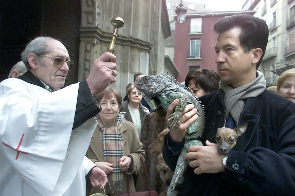 Un resumen, en imágenes, de la celebración de San Antón, patrón de los animales, en la iglesia de San Pablo de Zaragoza.