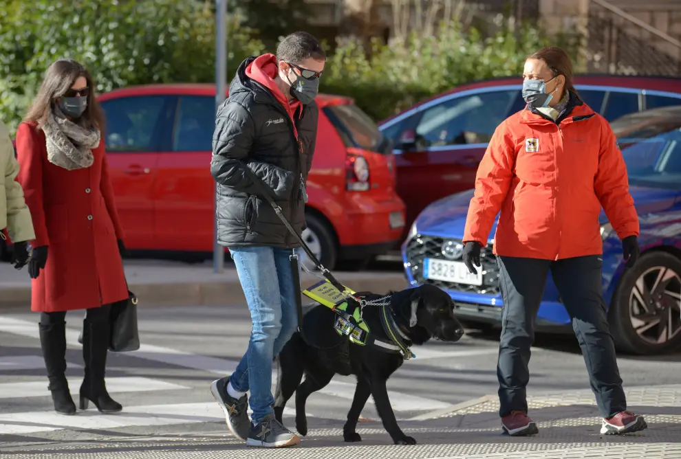 Alberto Villalba, el joven turolense que perdió la vista y las manos, recibe a su perro guía. Xabat