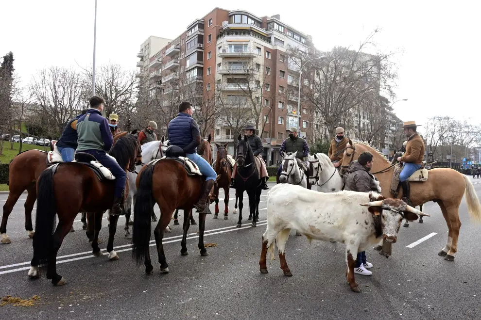 El sector rural se manifiesta en Madrid