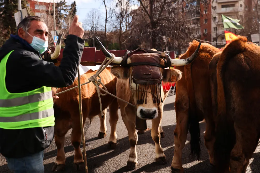 El sector rural se manifiesta en Madrid