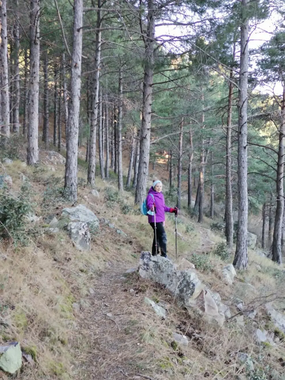 "Mañana espectacular por la sierra de Algairén: paseo por senda la Lechera hacia la cresta de las Peñas."