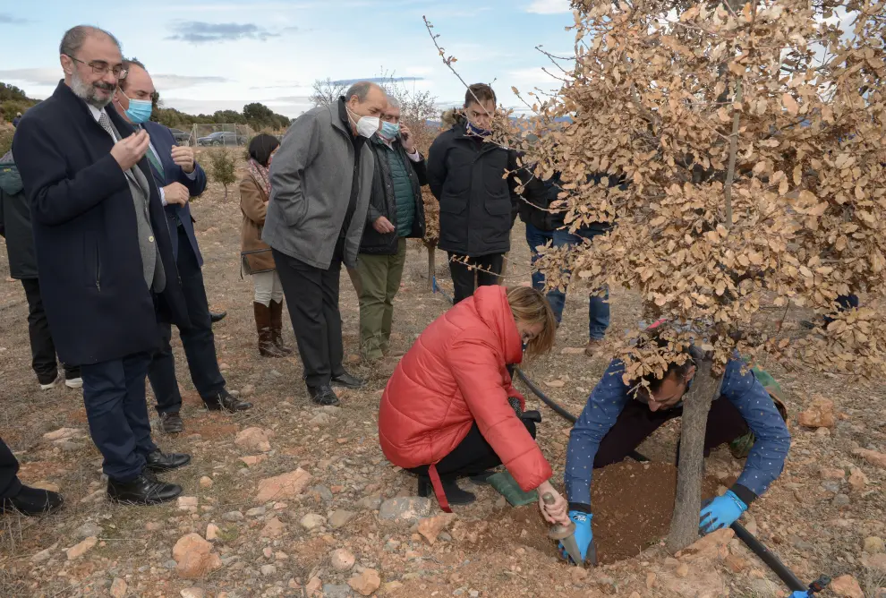 El presidente de Aragón, Javier Lambán, visita los regadíos de Sarrión