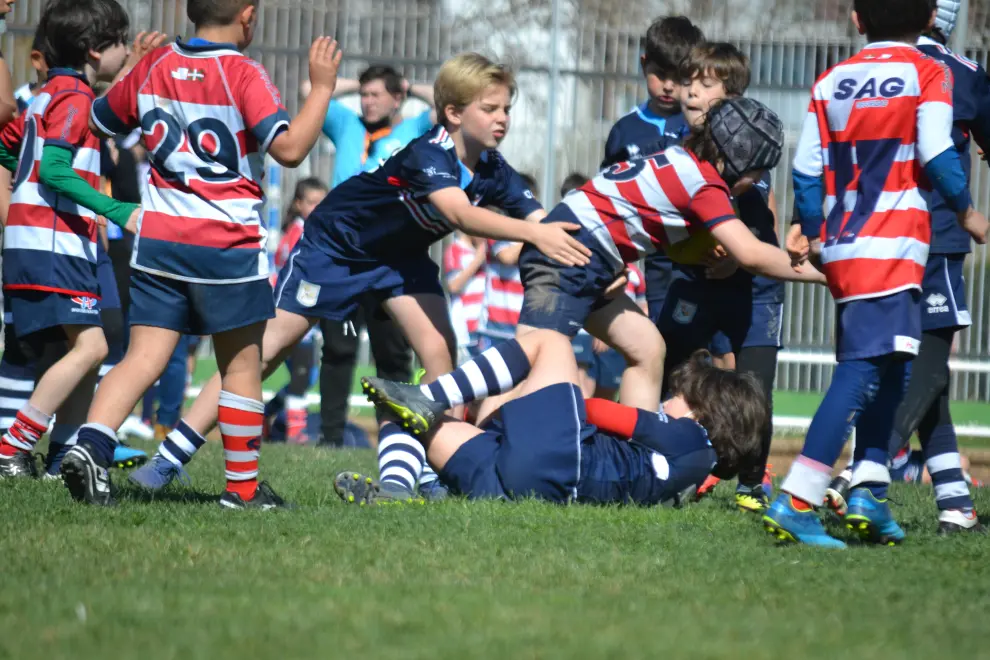 V Torneo Cesaraugusta de rugby infantil en Zaragoza