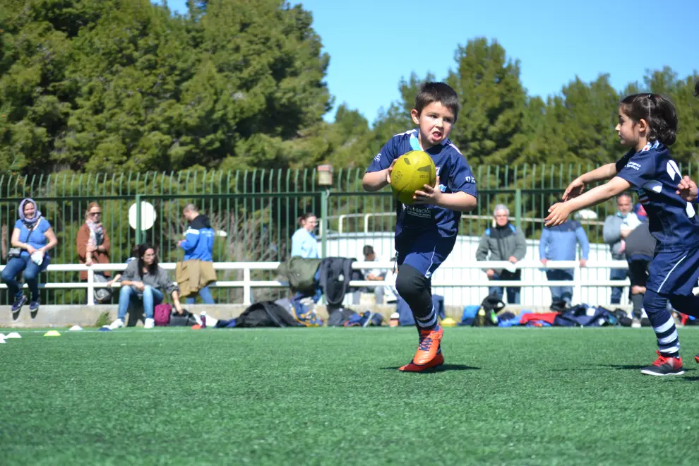 V Torneo Cesaraugusta de rugby infantil en Zaragoza