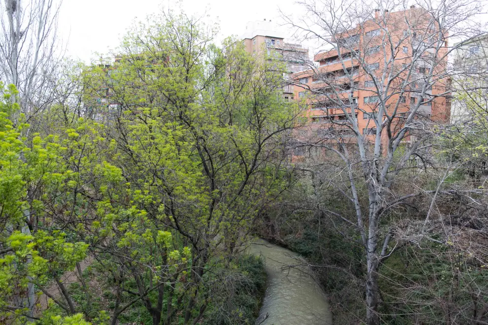 Estado del río Huerva a su paso por Zaragoza.