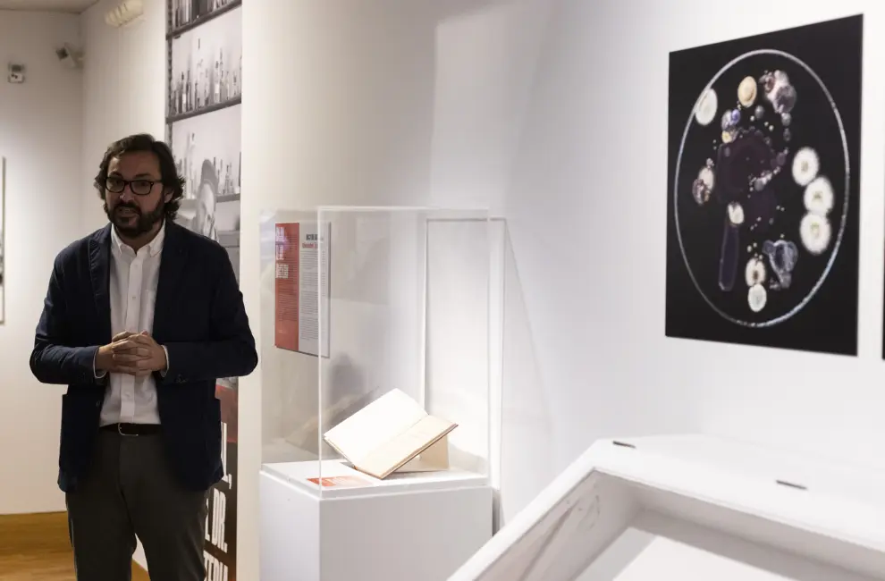 Artistas de ocho países participan en la exposición inaugurada en el Museo Pablo Gargallo.
