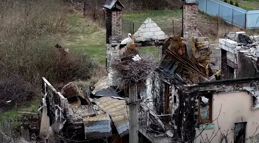 A resident walks among debris, amid Russia's invasion, in Moshchun village, Kyiv region, Ukraine in this still image taken from a video released April 22, 2022. Ukrainian military TV/Handout via REUTERS  THIS IMAGE HAS BEEN SUPPLIED BY A THIRD PARTY. MANDATORY CREDIT. UKRAINE-CRISIS/KYIV