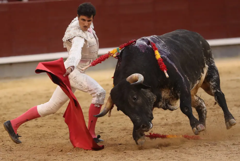 Arturo Gilio, corneado en San Isidro por un toro de Los Maños