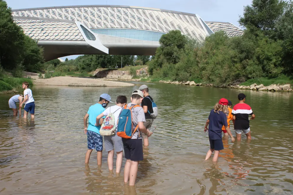 Visita geológica al río Ebro de 50 niños de Primaria de Zaragoza