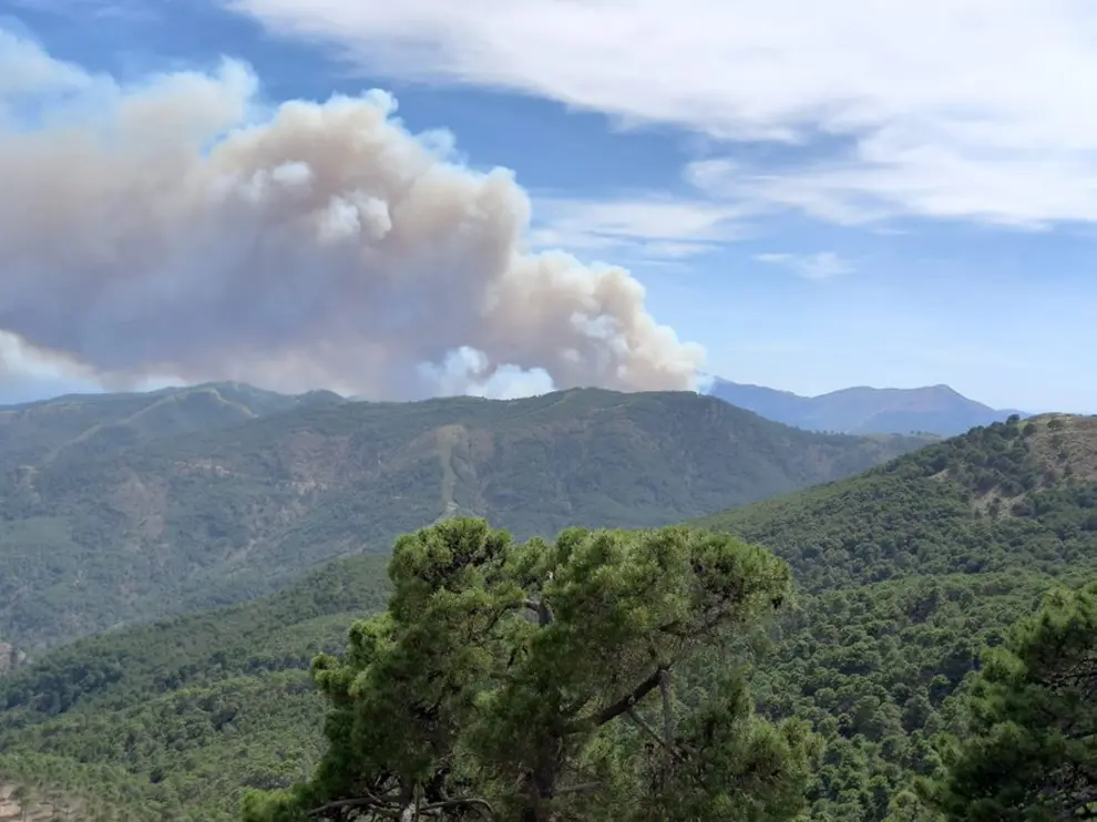 A cloud of smoke billows above a mountain, as a forest fire breaks out in Pujerra, as seen from Ronda, near Malaga, southern Spain. June 8, 2022. REUTERS/Jon Nazca SPAIN-FIRE/